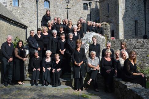About Côr Dyfed Choir - picture of choir