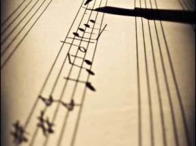 What does the Youth Choral Scholarship offer